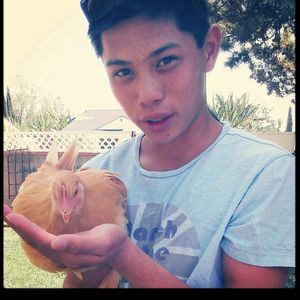 Meet your Posher, Alexander